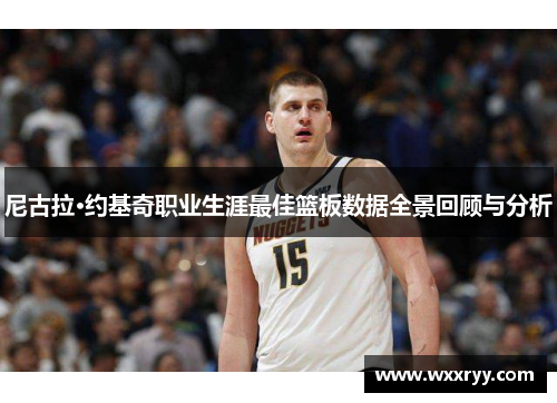 尼古拉·约基奇职业生涯最佳篮板数据全景回顾与分析