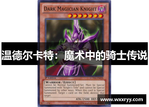 温德尔卡特：魔术中的骑士传说