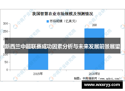 新西兰中超联赛成功因素分析与未来发展前景展望