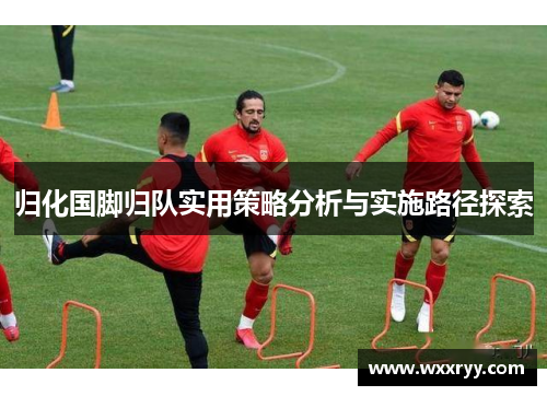 归化国脚归队实用策略分析与实施路径探索